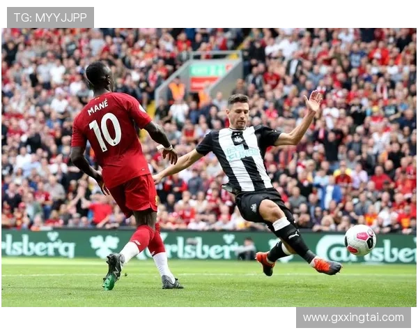 ✅体育直播🏆世界杯直播🏀NBA直播⚽- 海南严管建筑垃圾 最高罚款100万元- sports